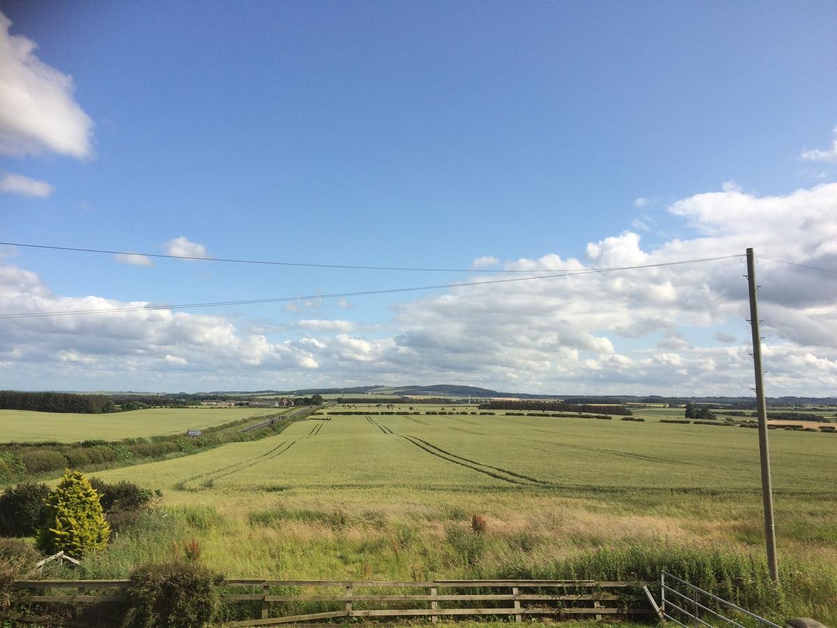 The Island View Inn Berwick Upon Tweed المظهر الخارجي الصورة